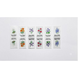 Floral Collection 1 Floral Collection 1