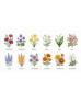 Floral Collection 3 - Flat 15x50mm